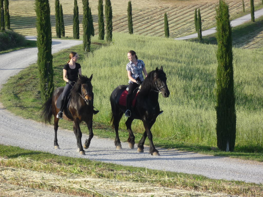 I Puntoni Agriturismo Magliano in Toscana Extérieur photo