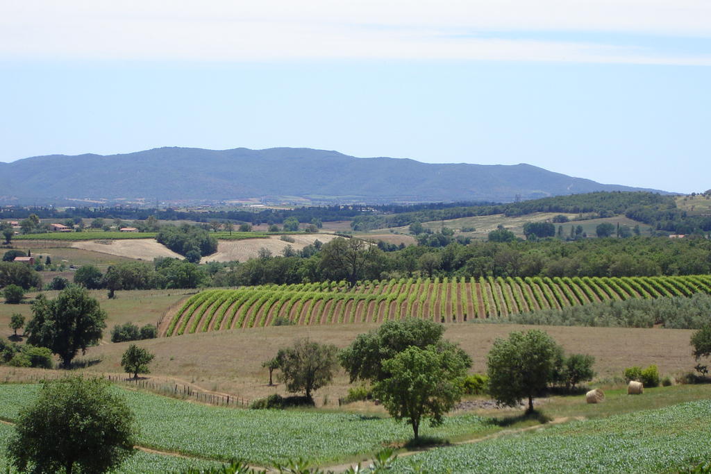 I Puntoni Agriturismo Magliano in Toscana Extérieur photo